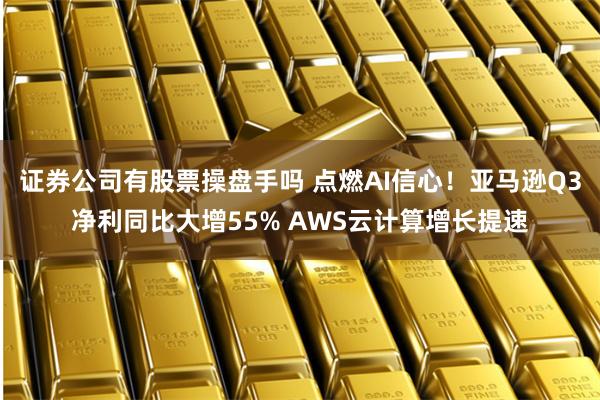 证券公司有股票操盘手吗 点燃AI信心！亚马逊Q3净利同比大增55% AWS云计算增长提速