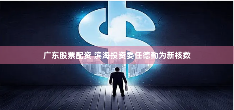 广东股票配资 滨海投资委任德勤为新核数