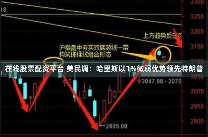在线股票配资平台 美民调：哈里斯以1%微弱优势领先特朗普