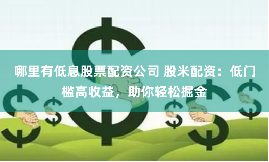 哪里有低息股票配资公司 股米配资：低门槛高收益，助你轻松掘金