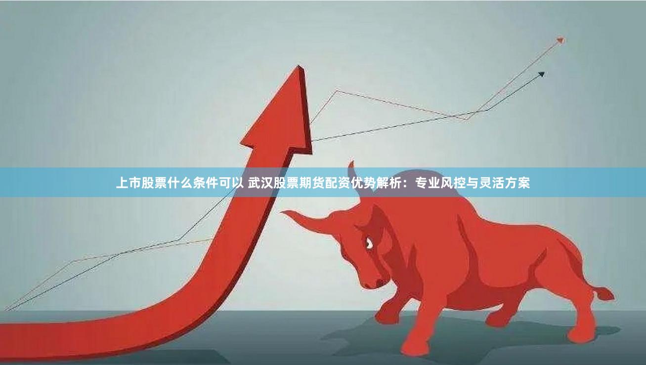 上市股票什么条件可以 武汉股票期货配资优势解析：专业风控与灵活方案