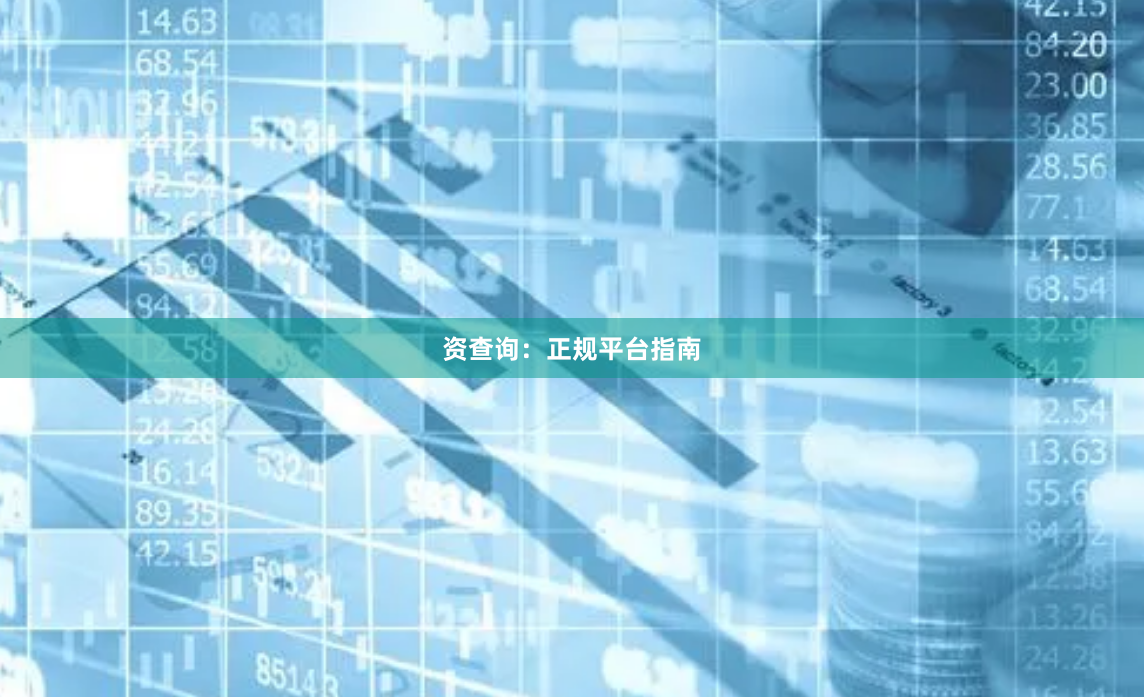 资查询：正规平台指南